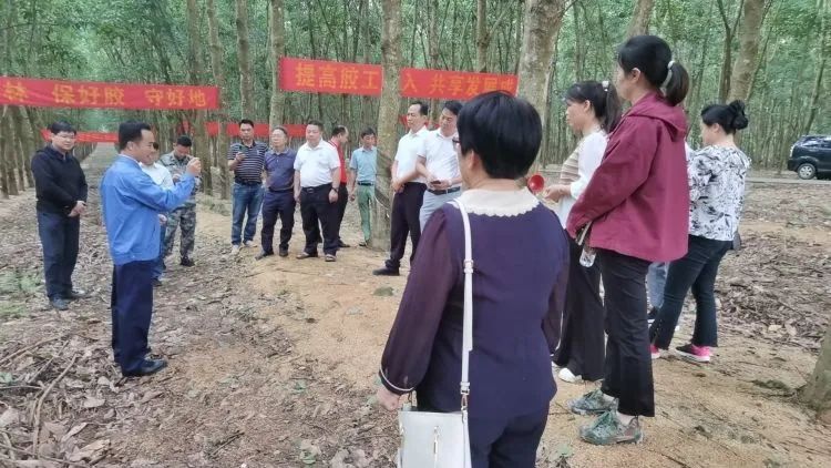 全國(guó)割膠冠軍張健給各單位學(xué)員做標(biāo)準(zhǔn)化膠園建設(shè)及割膠技術(shù)的經(jīng)驗(yàn)介紹。.jpg