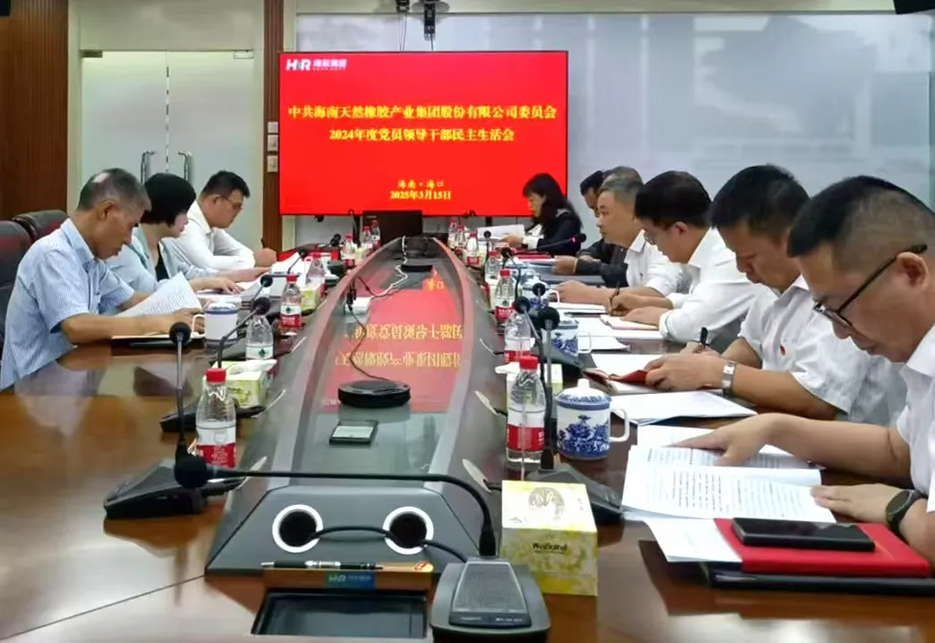 海南橡膠黨委召開(kāi)2024年度黨員領(lǐng)導(dǎo)干部民主生活會(huì)